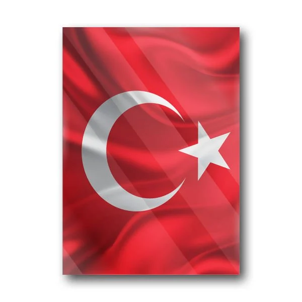 ''Türk Bayrağı'' Tablo