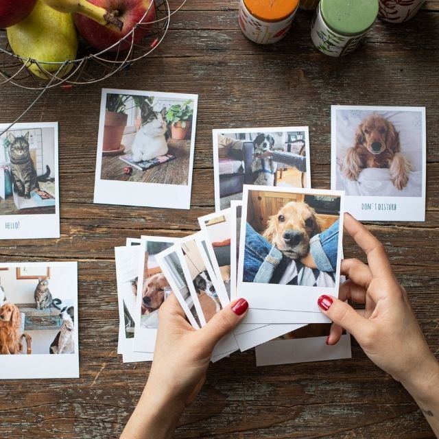 Pola Kart - 10 Adet, 9x11 cm Fotoğraf Baskı|Tekyerde