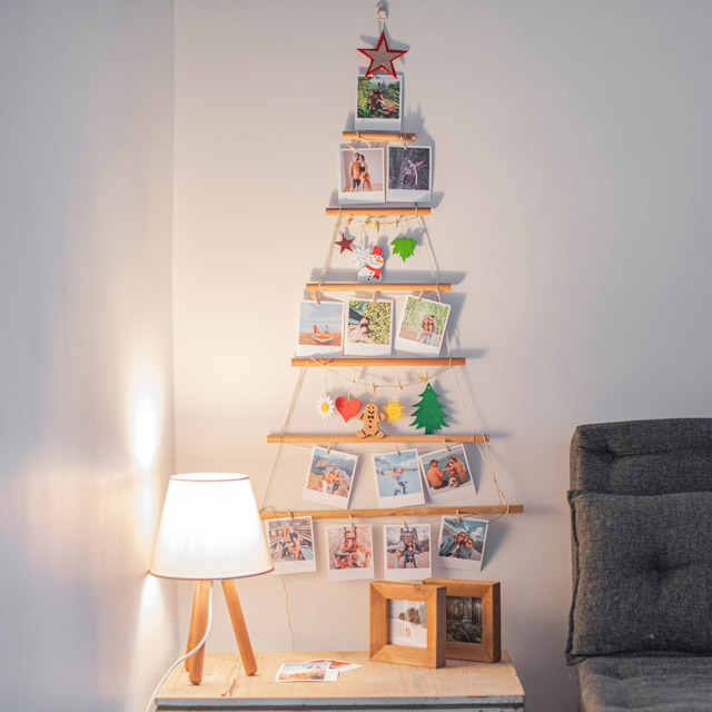 Fotoğraf Ağacı ve 20 Pola Kart | Tekyerde