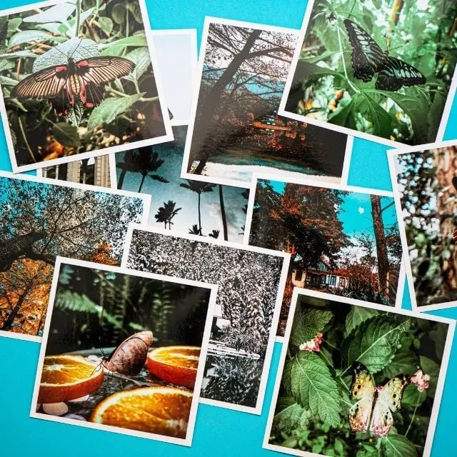 Kare Fotoğraf Baskı - 10 Adet, 10x10cm Parlak Baskı|Tekyerde Kare Fotoğraf Baskı - 10 Adet, 10x10cm Parlak Baskı|Tekyerde